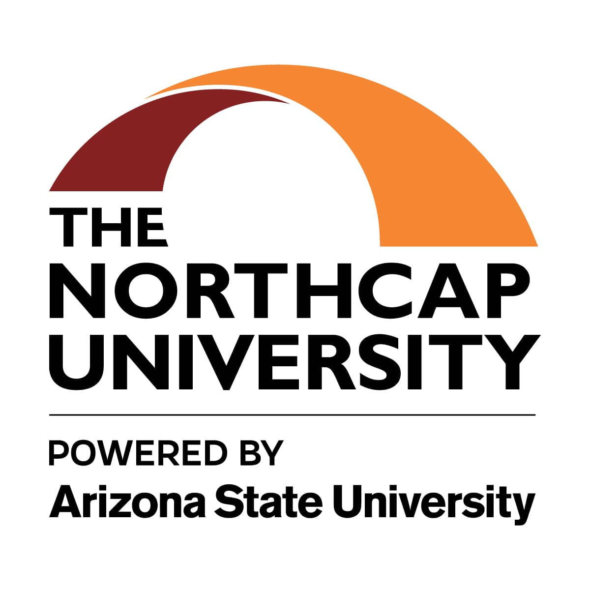 The NorthCap University High Quality Logo